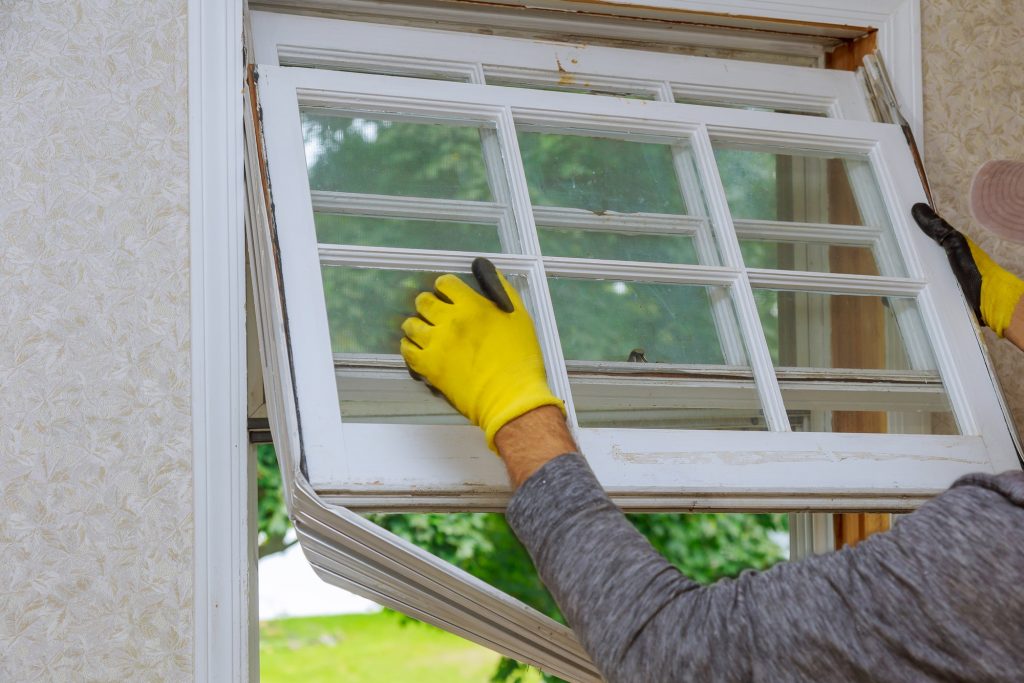 Workers preparing to master removes old wooden windows in home renovation, energy efficiency concept